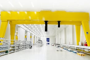 clean room gantry crane