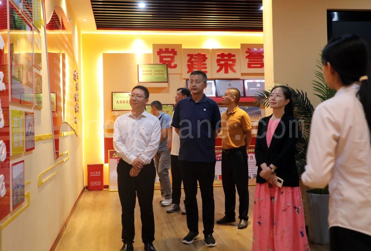 The New Energy Expert Delegation Visiting the Dafang Party Building Exhibition Hall